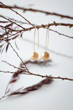 Load image into Gallery viewer, Andrea Hook Earrings
